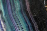 Colorful, Polished Rainbow Fluorite Slab #150787-1